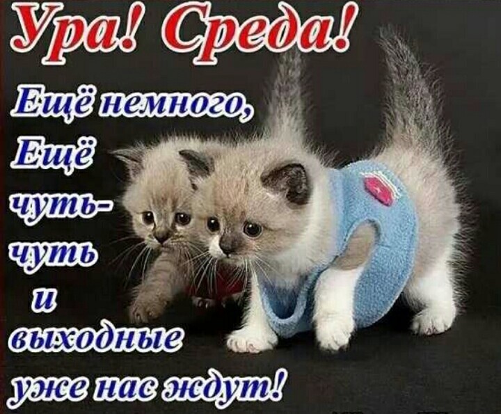 Открытки